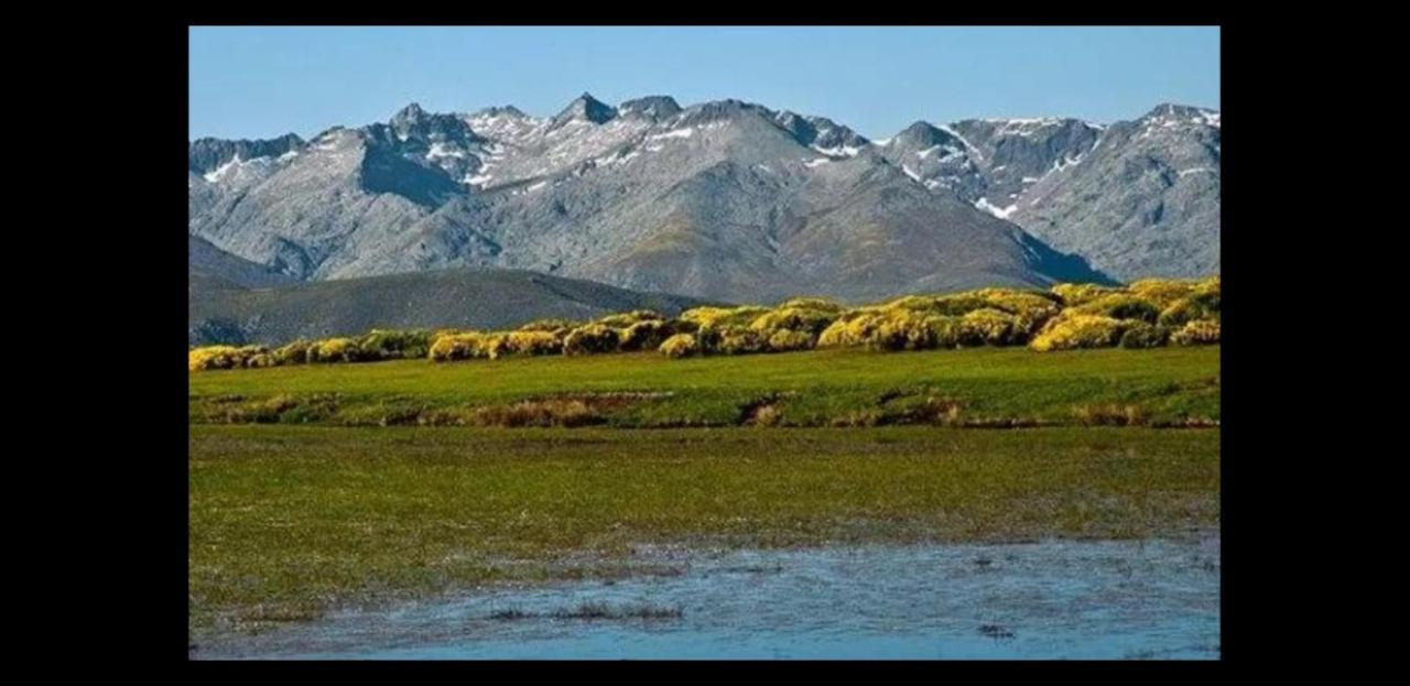 San Martin de la Vega del Alberche Los Arroyosゲストハウス エクステリア 写真