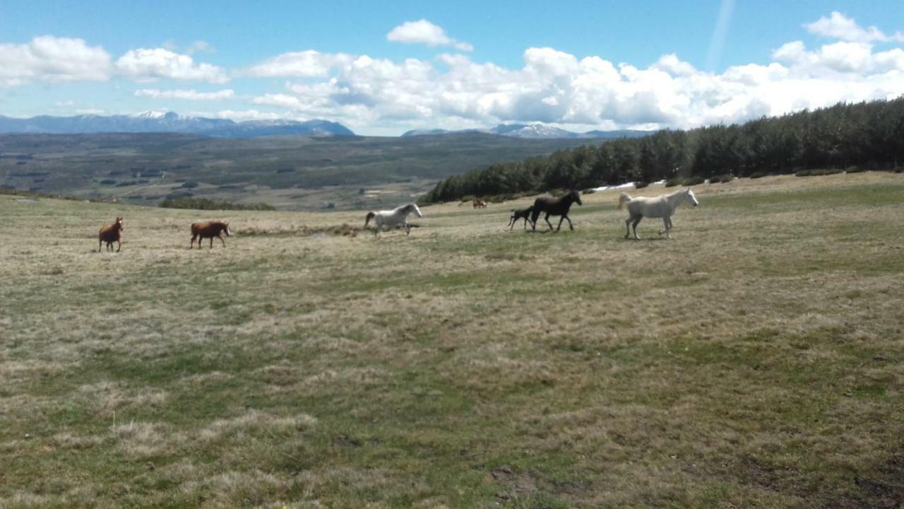 San Martin de la Vega del Alberche Los Arroyosゲストハウス エクステリア 写真