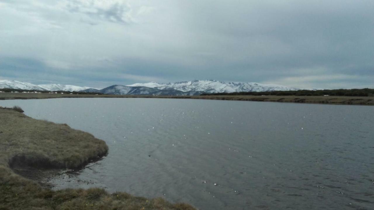 San Martin de la Vega del Alberche Los Arroyosゲストハウス エクステリア 写真